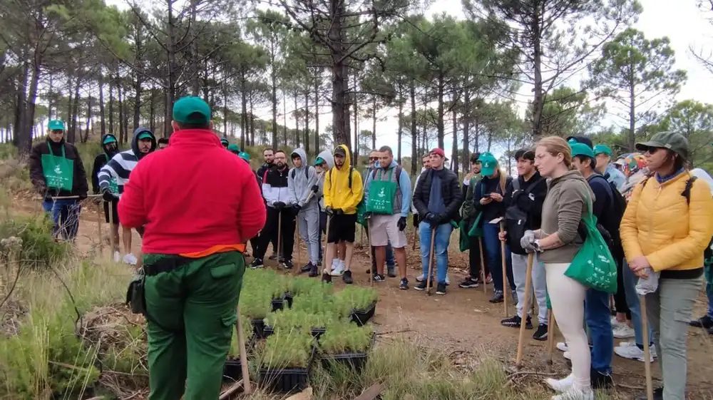 ‘Cascos verdes’ de la ONU impulsarán reforestación en Ecuador