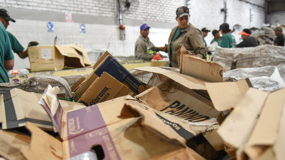 Universitarios crean startup para combatir la contaminación