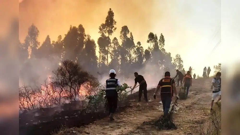 Más de 190 incendios forestales se registraron en el 2024