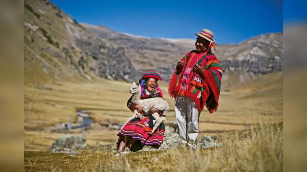Puno: recuperan 1,000 hectáreas de áreas de pastizales