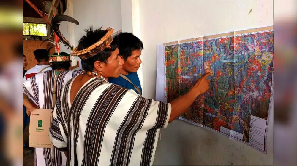 Comunidades nativas deben S/129 millones por Infracciones forestales