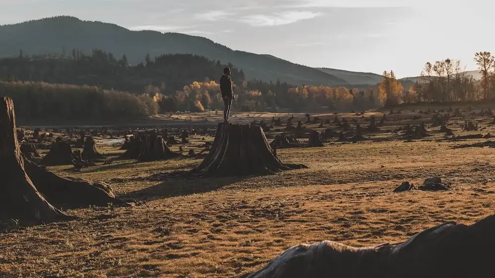 España agotó sus recursos naturales para el 2024