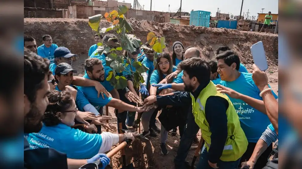 Voluntarios despliegan gran campaña de reforestación en el país