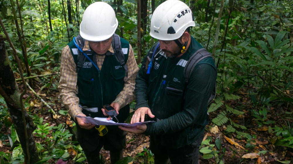 Serfor fortalecerá sistema de control forestal y de fauna silvestre