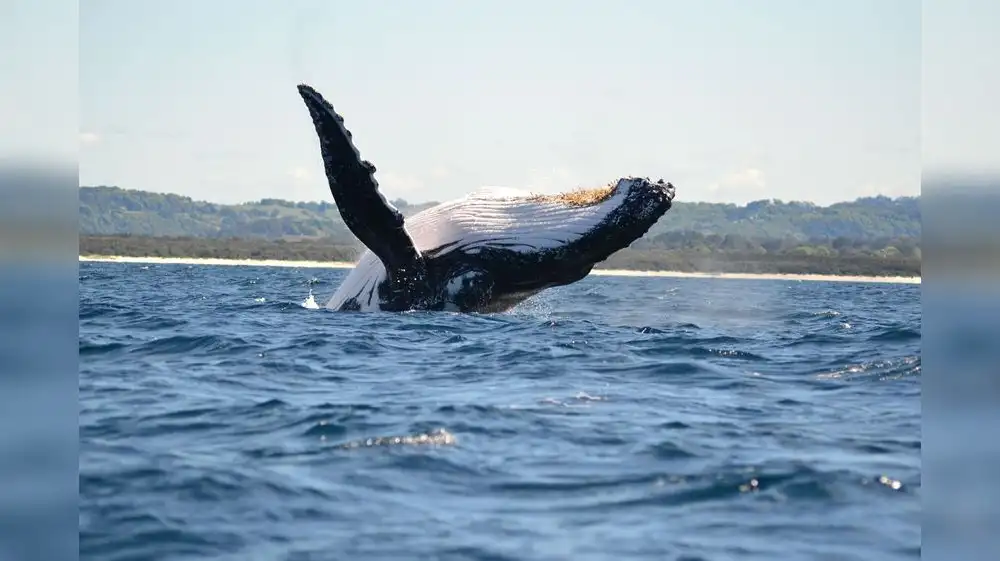 Reserva Nacional Mar Tropical de Grau tiene primer Comité de Gestión