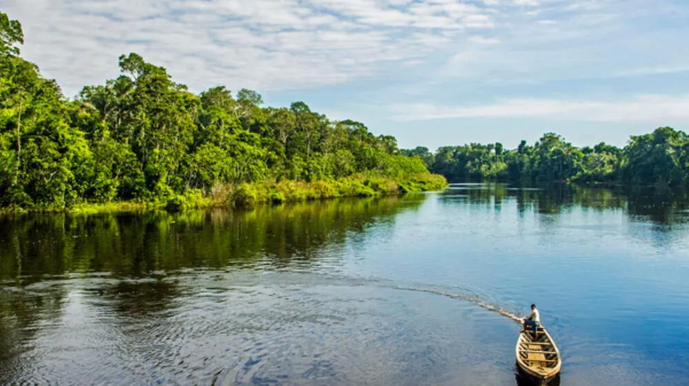 Áreas naturales protegidas registran conservación superior al 95%