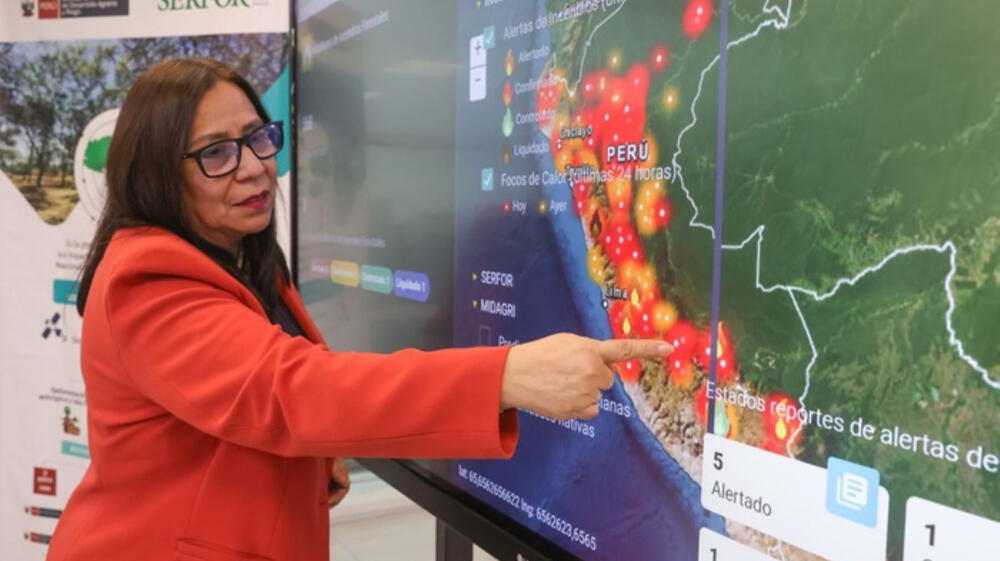 Más de700 incendios forestales azotaron el Perú en 2024