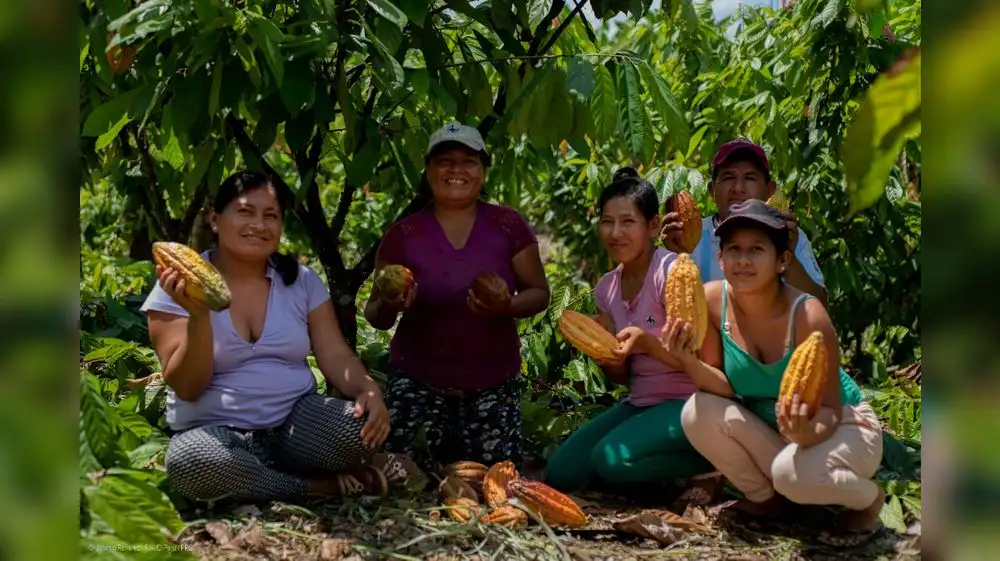 Programa Bosques implementa negocios ecoamigables en la selva