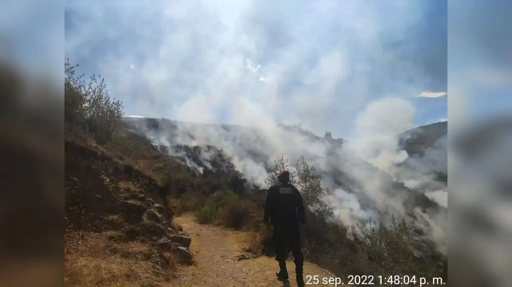 Policías custodiarán ecosistemas protegidos de Ucayali