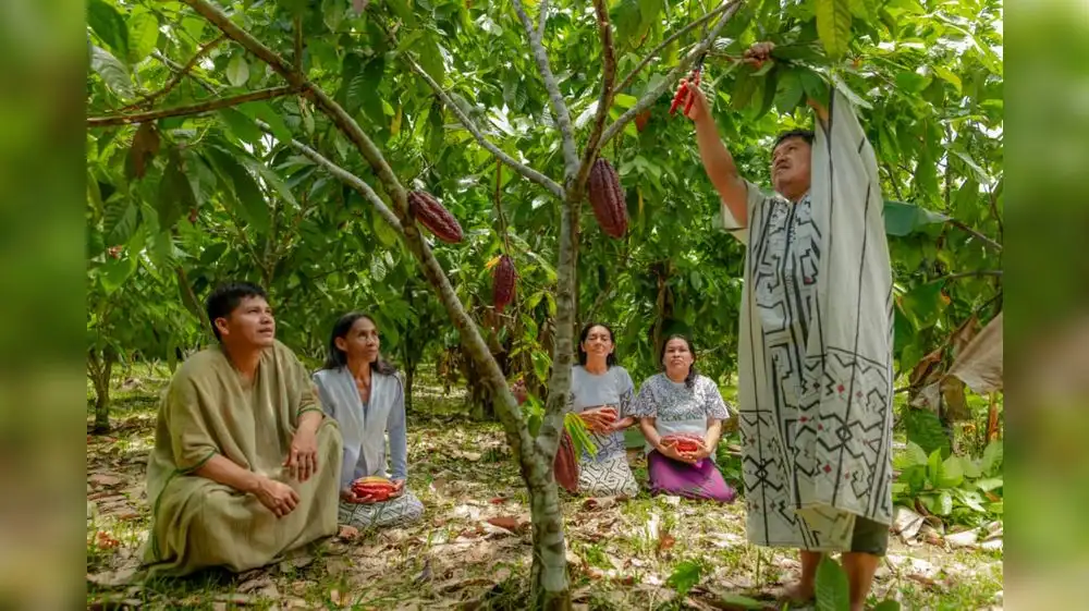 Ucayali: Proyecto busca impulsar el desarrollo sostenible