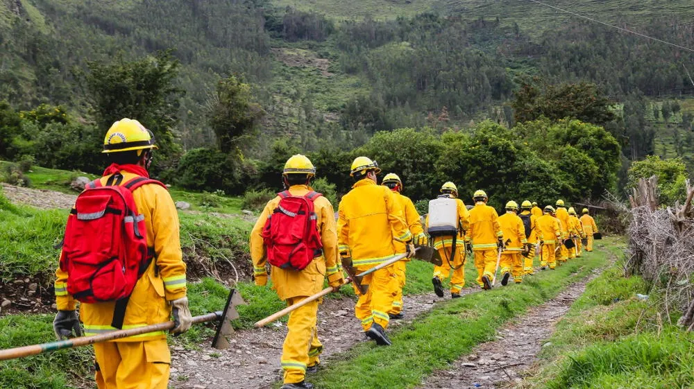 Perú contará con 900 bomberos forestales el próximo año