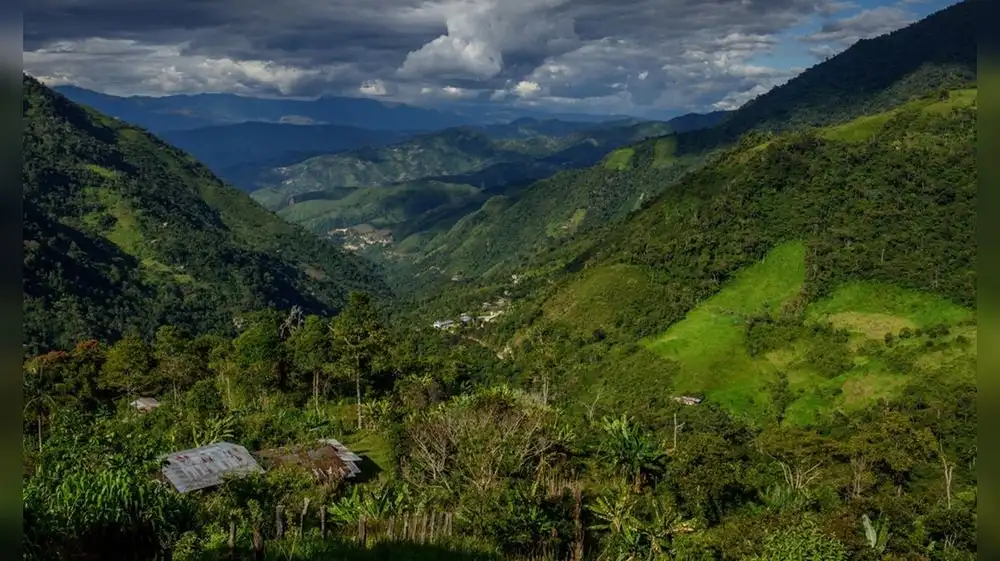 Disponen creación de corredor de conservación Andes del Norte