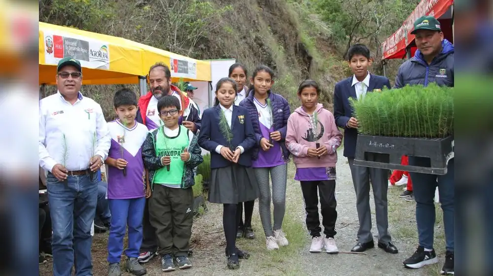 Perú inicia su Semana Forestal Nacional 2024