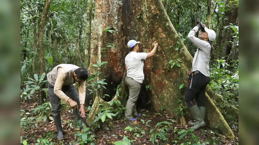 Conservación de recursos naturales movilizarán S/ 19 millones