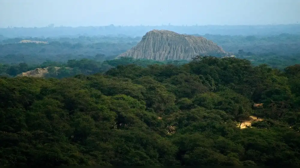 Bosque de Pómac obtiene máxima distinción para un destino turístico