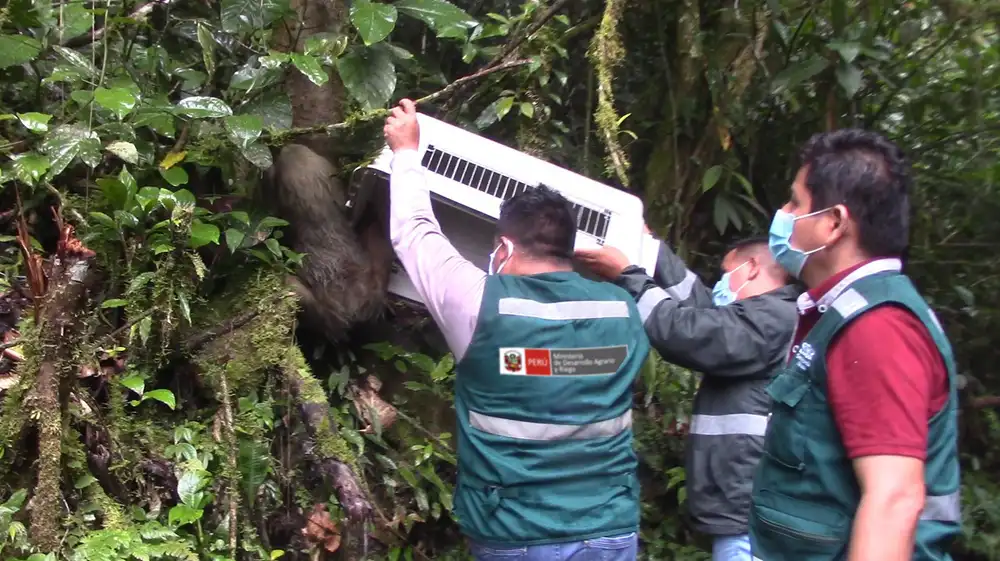 Animales silvestres rescatados fueron liberados en Reserva Natural