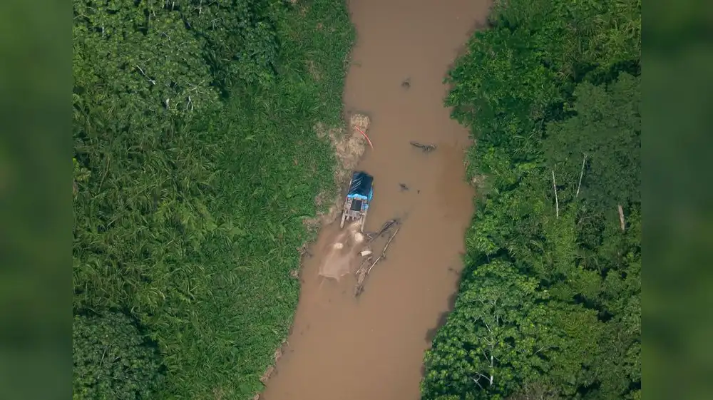 Ucayali sufre mayor deforestación y aumento de minería ilegal