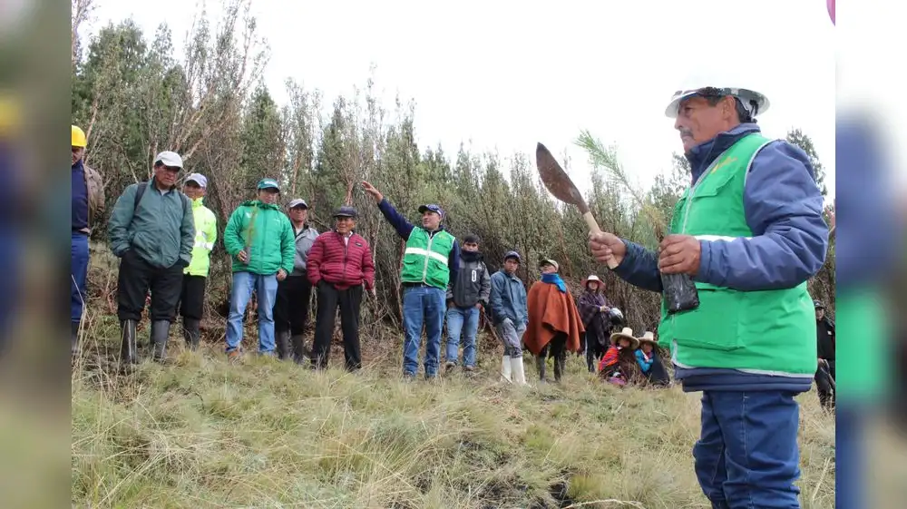 Gobiernos regionales reciben asistencia para ordenamiento forestal