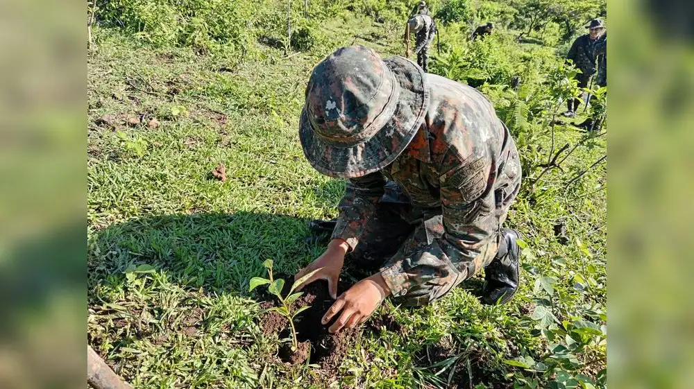 Marina de Guerra impulsa reforestación en la Amazonía