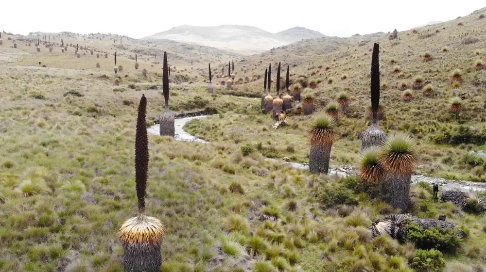 Santuario Nacional Calipuy celebra 44 años de creación