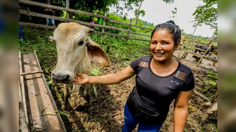 Huánuco: Proyecto busca fortalecer cadena de valor ganadera