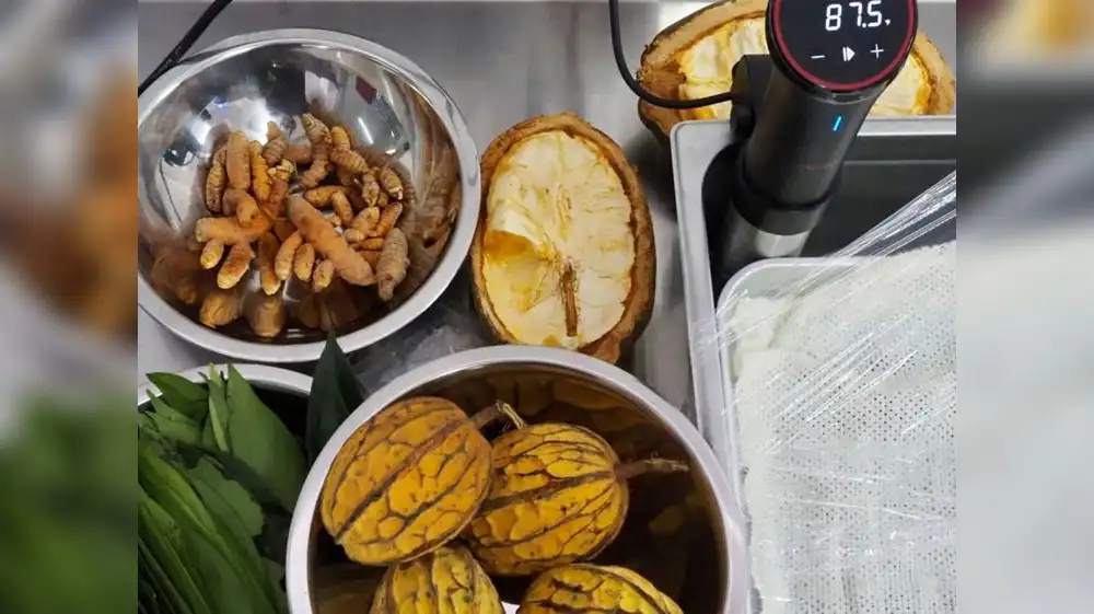 Aprueban norma técnica para el fruto macambo