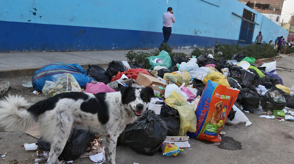 OEFA detecta 165 zonas críticas por acumulación de basura