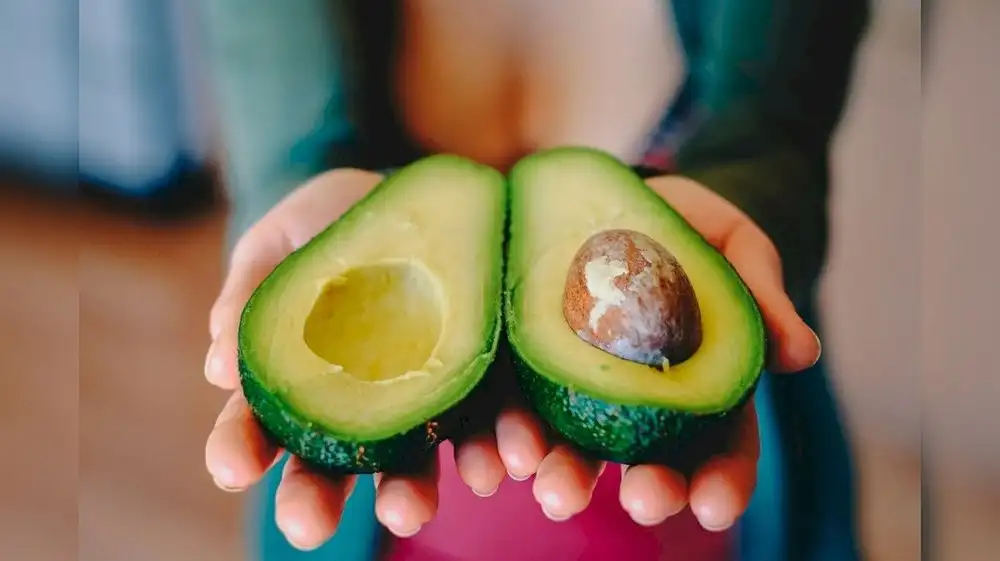 Desarrollan bioplástico a partir de residuos industriales de la palta