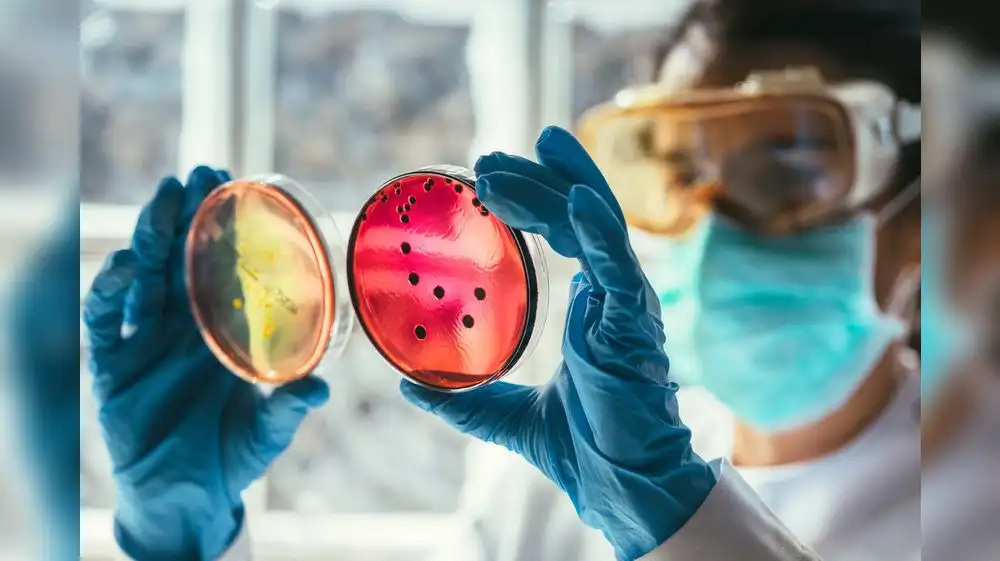 Cambio climático agravará problema de resistencia a los antimicrobianos