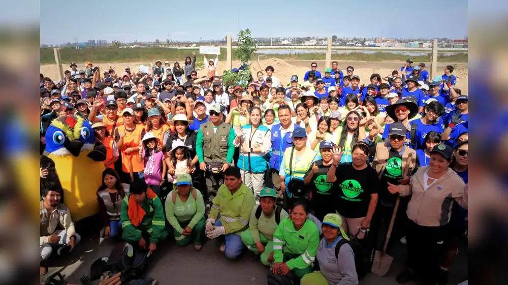 Entusiastas reforestan alrededores de los Pantanos de Villa