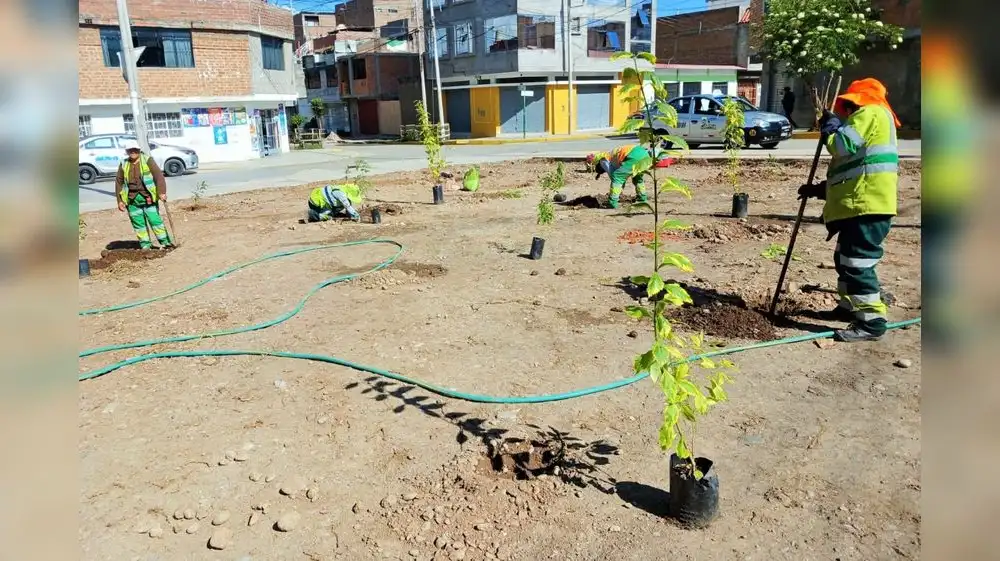 Botadero informal es transformado en área verde