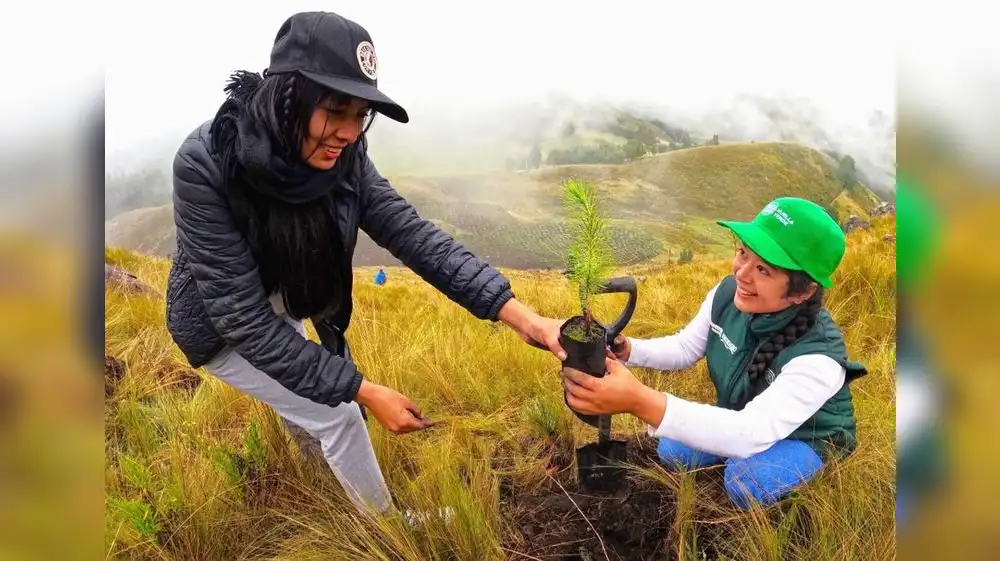 Cajamarca tendrá más de 2 millones de nuevos árboles a fines de 2026