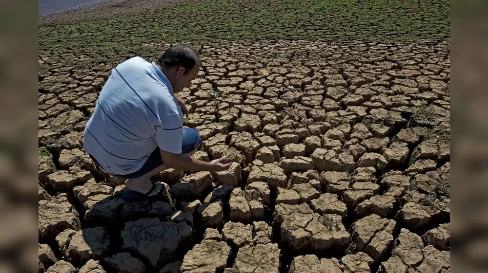 El mundo celebra el Día de la Lucha contra Desertificación y Sequía
