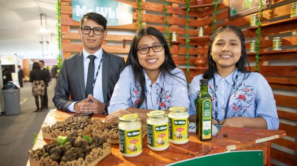 Universidades al fomento de una cultura emprendedora en el país