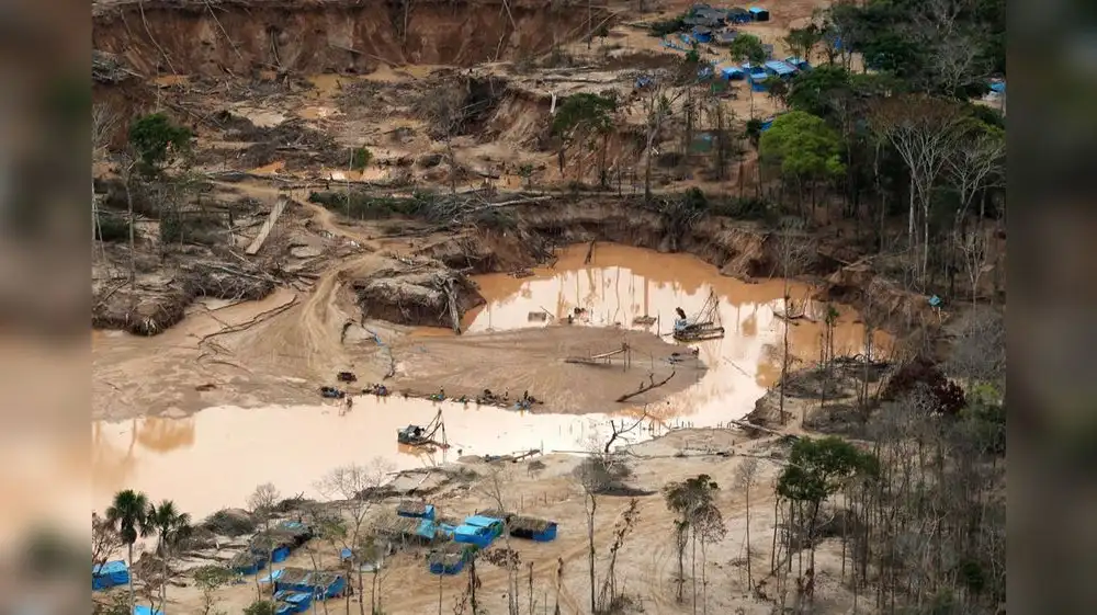 Recuperación de suelos afectados por minería ilegal tardará 10 años