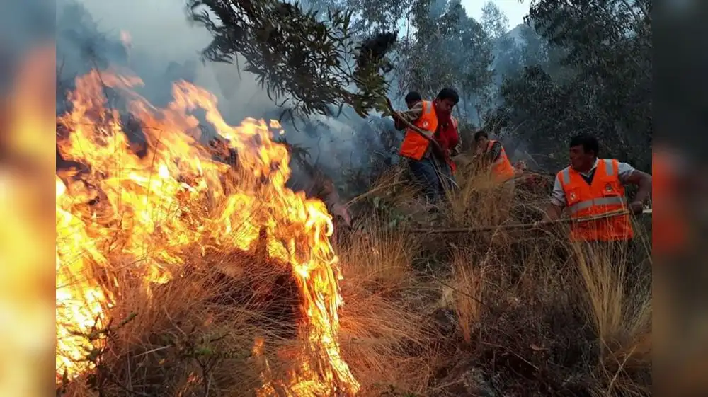 Cusco en alerta roja por nuevos incendios forestales