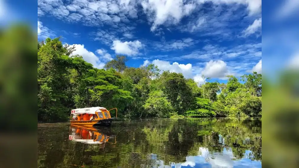 Alemania otorga millonaria partida para fortalecer áreas protegidas