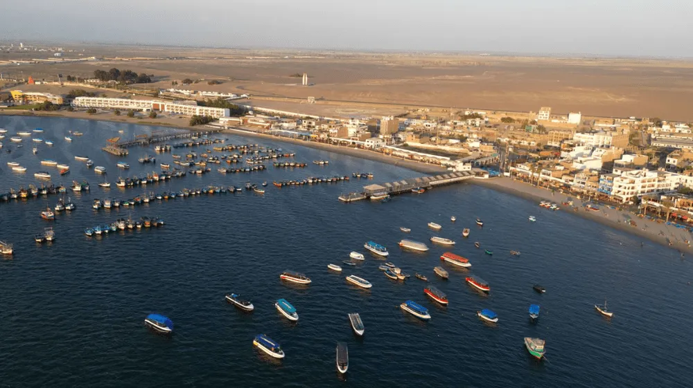 Alerta de tsunami frustró avistamiento de ballenas en Tumbes