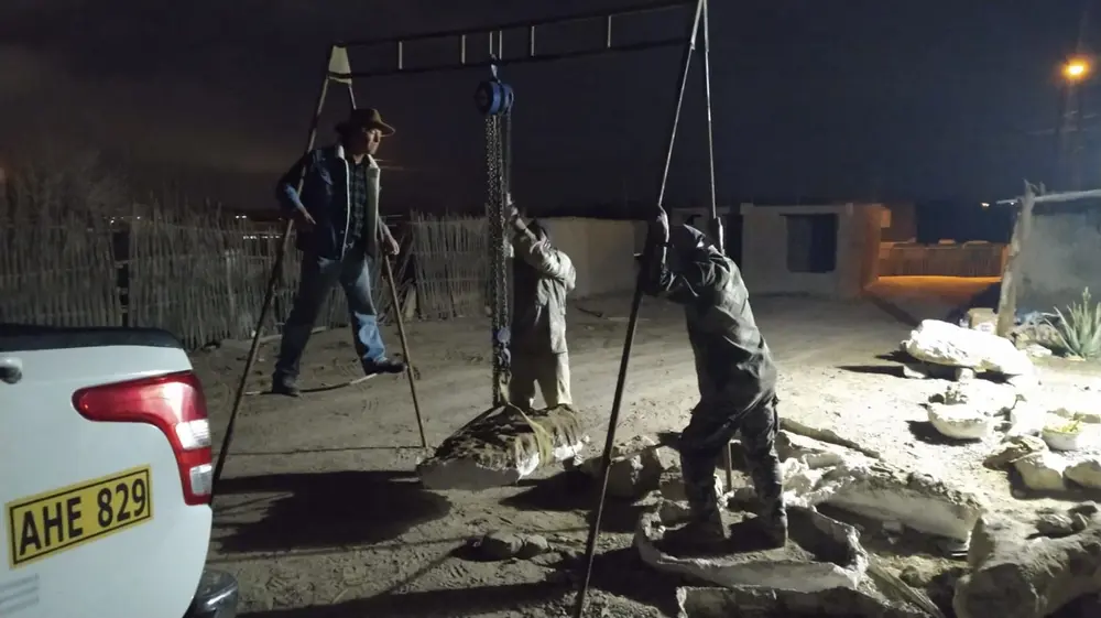 Perú: Encuentran fósiles de cetáceos prehistóricos en desierto de Ica