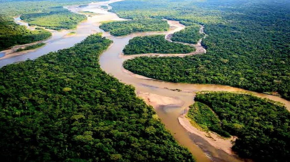 Perú incluirá turberas amazónicas en estrategia de diversidad biológica