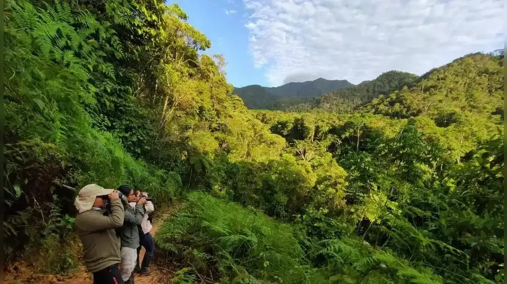 Perú establece nueva Área de Conservación Regional en Huánuco