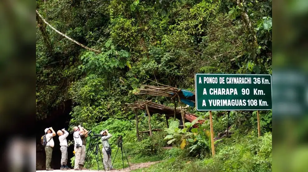 Tarapoto congregó a observadores de aves de todo el país