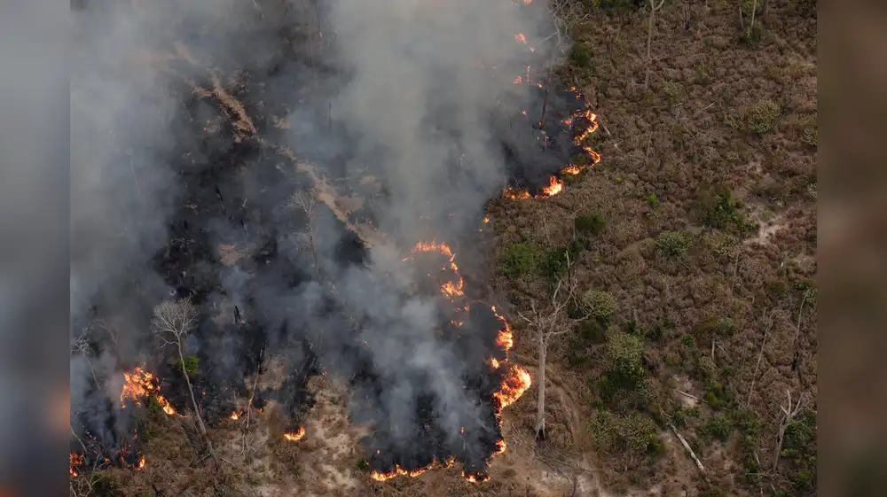 España: Incendios forestales arrasan más de 84 mil hectáreas