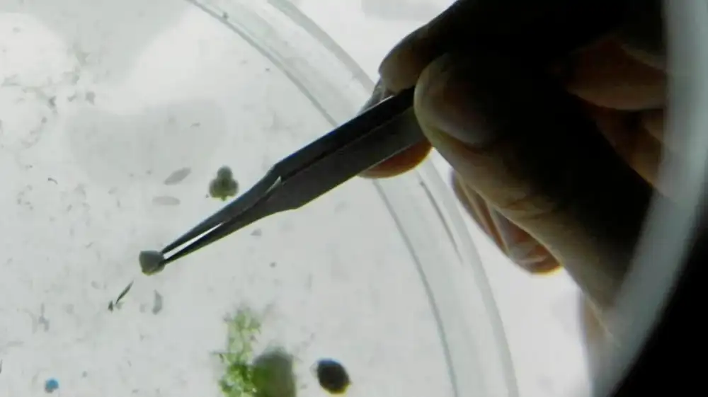 Exposición diaria a microplásticos en aire es más alta de lo esperado