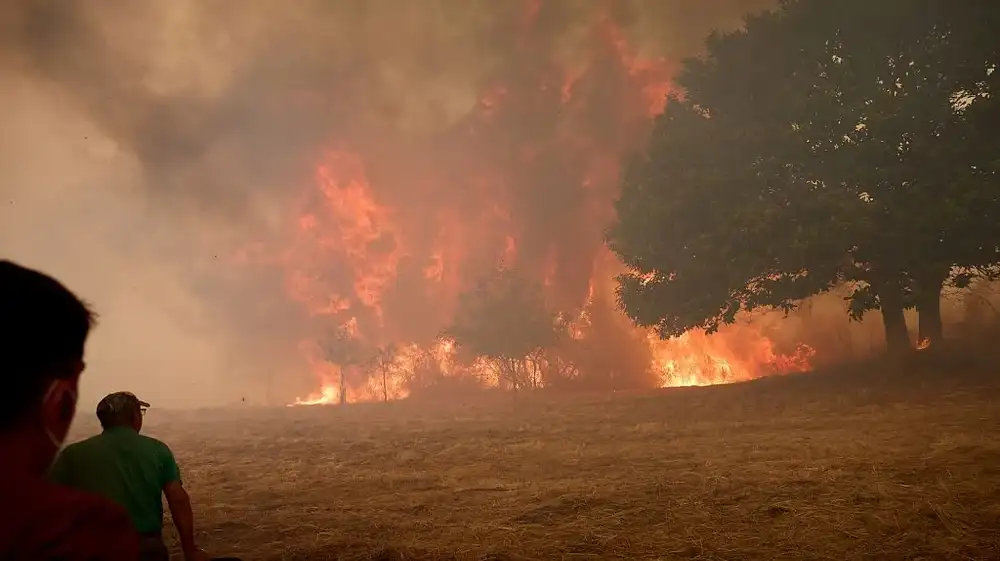Cambio climático intensificó condiciones para incendios forestales