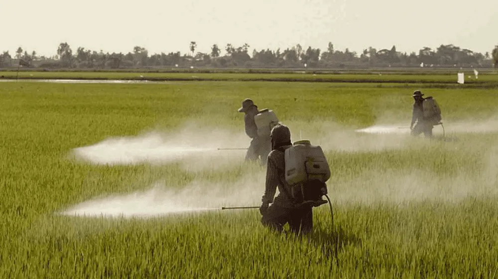 México prohíbe más de 30 plaguicidas altamente tóxicos