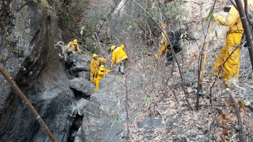 Tumbes: Incendio forestal afectó Parque Nacional Ceros de Amotape