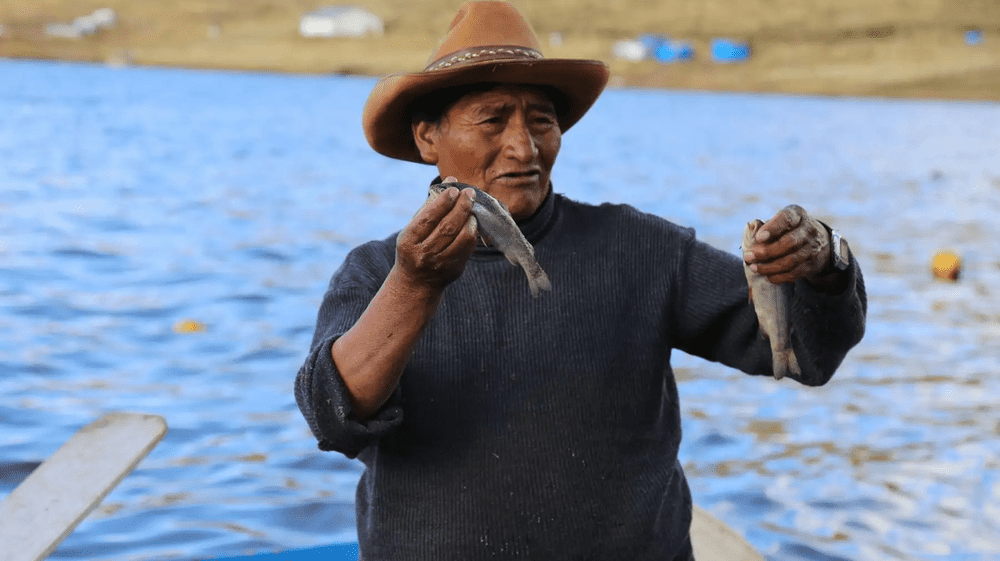 Puno pone en marcha “Proyecto Pejerrey”