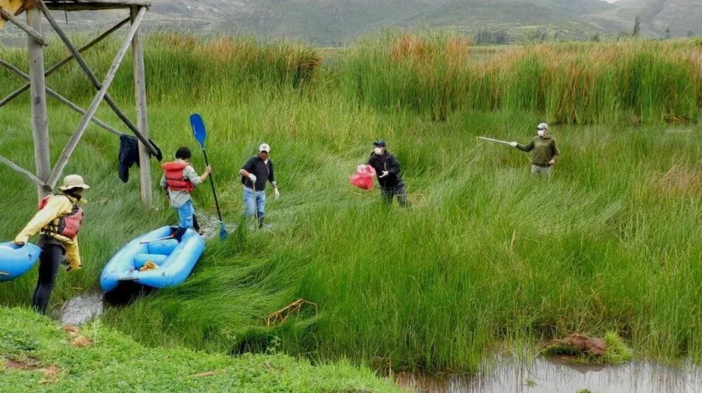 Cusco: Despliegan jornada de limpieza en laguna Huacarpay