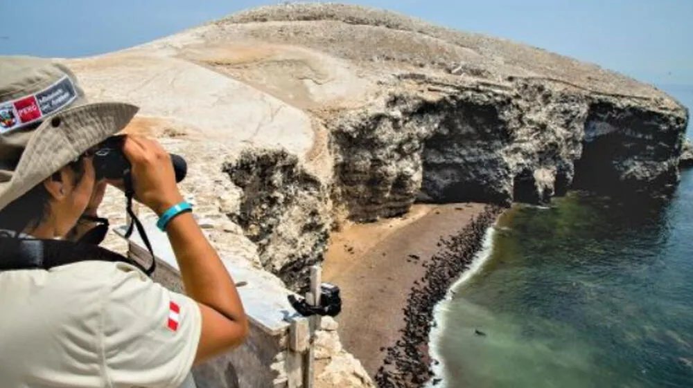 Reserva Nacional de Paracas cumplió 50 años de creación
